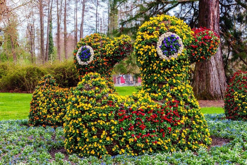 Rozprávkové Švajčiarsko a ostrov kvetov Mainau