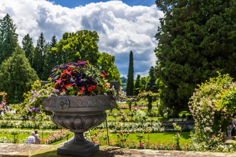 Rozprávkové Švajčiarsko a ostrov kvetov Mainau