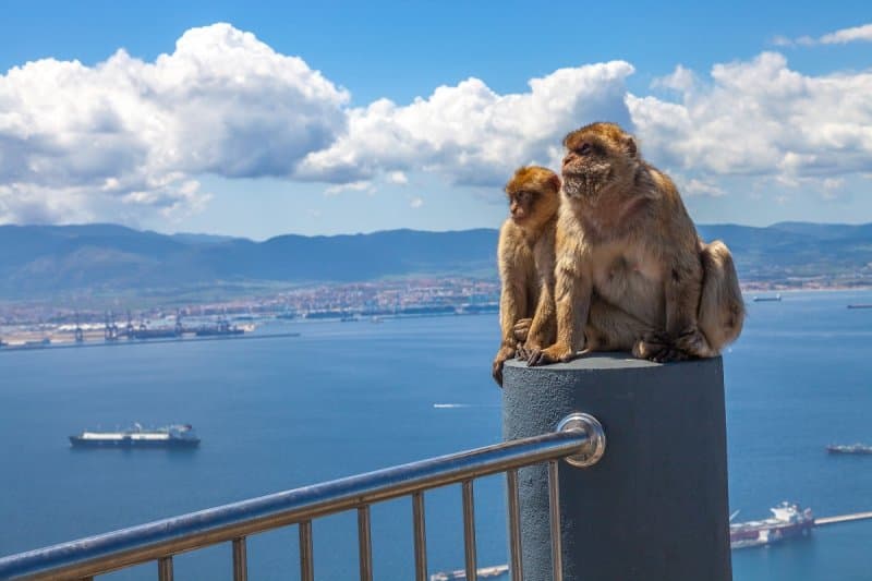 Slnečná Andalúzia a Gibraltár LETECKY