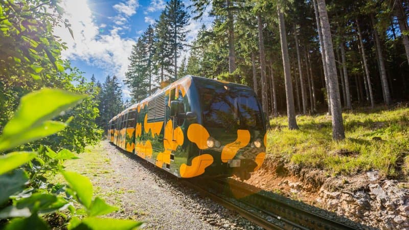 Vláčikom na horu Schneeberg, slávne buchty a mestečko Wiener Neustadt