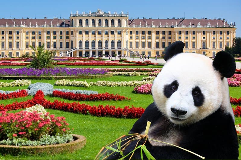 ZOO Viedeň, zámok Schönbrunn a jeho krásne záhrady