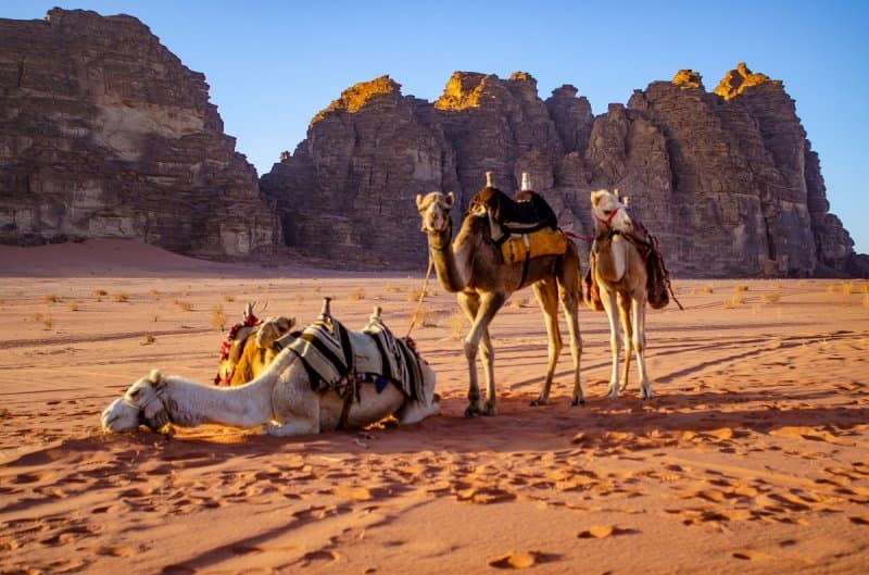 Tajomné Jordánsko, Mŕtve more, skalné mesto Petra a púšť Wadi Rum LETECKY