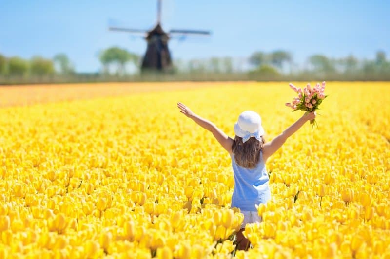 Holandsko - svetoznáma výstava kvetov Keukenhof a Amsterdam