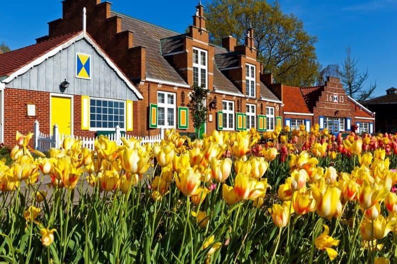 Holandsko - svetoznáma výstava kvetov Keukenhof a Amsterdam