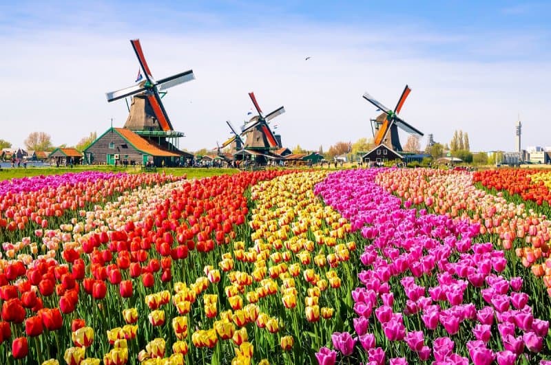 Holandsko - svetoznáma výstava kvetov Keukenhof a Amsterdam  LETECKY