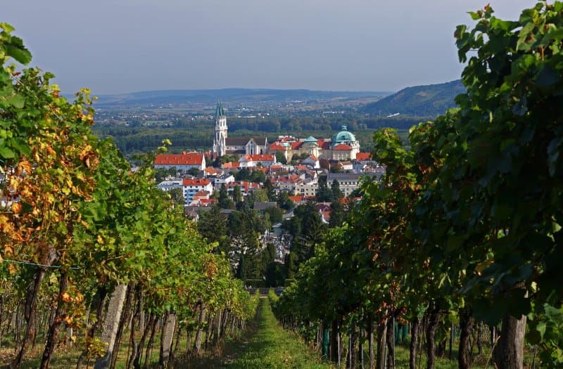 Najväčšia výstava orchideí a známy kláštor v Klosterneuburgu