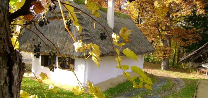 Tajomný Báthoryčkin hrad Lockenhaus a historické vínne pivničky