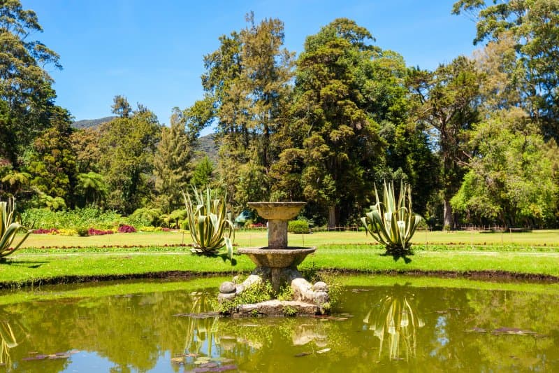 Srí Lanka, čajové plantáže, safari a tropické pláže