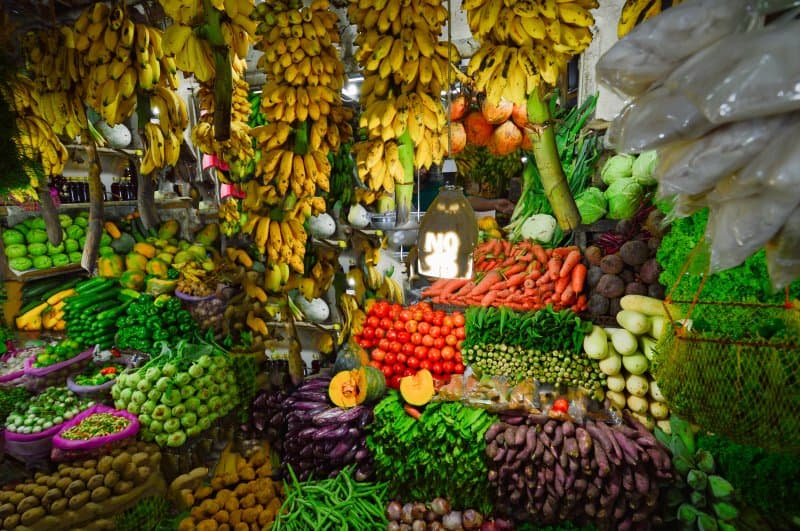Srí Lanka, čajové plantáže, safari a tropické pláže
