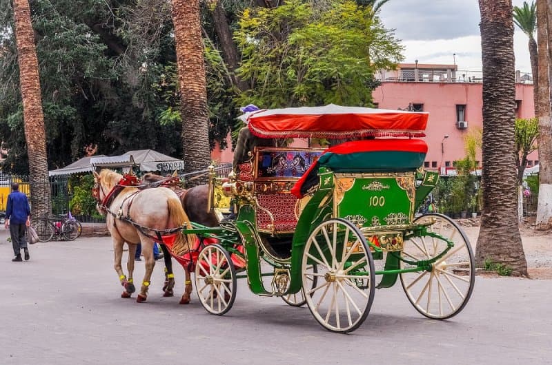 Marrákeš - srdce Maroka a čarovná Essaouira LETECKY