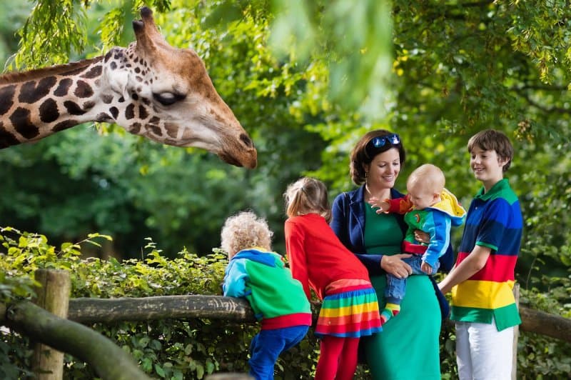 Safari Dvůr Králové, perníková chalúpka, zámok a čarovné Babičkino údolie