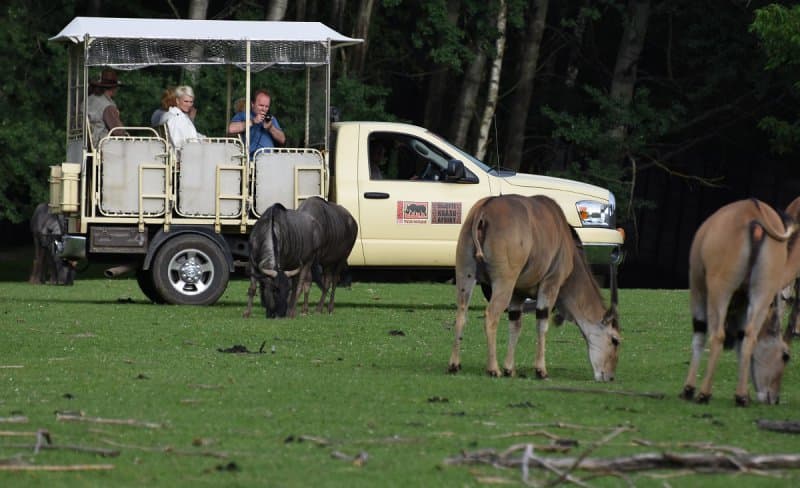 Safari Dvůr Králové, perníková chalúpka, zámok a čarovné Babičkino údolie