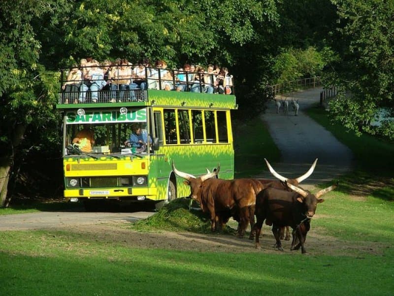 Safari Dvůr Králové, perníková chalúpka, zámok a čarovné Babičkino údolie