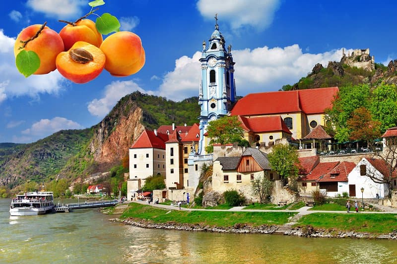Marhuľové slávnosti a nádherné údolie Wachau