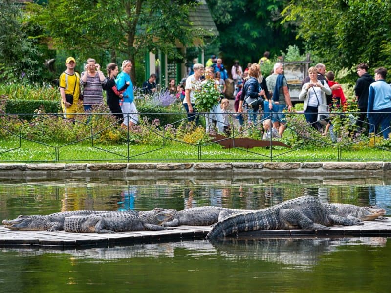 Nádherná ZOO Zlín a zámok Lešná