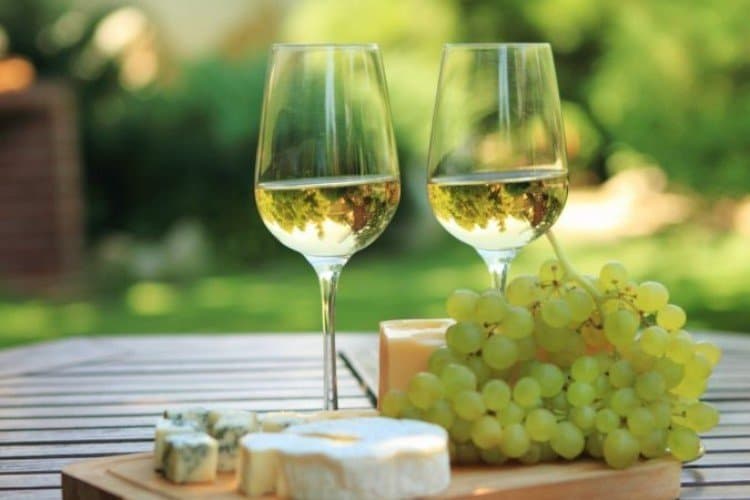 Historický Mikulov a Pálavské vinobranie