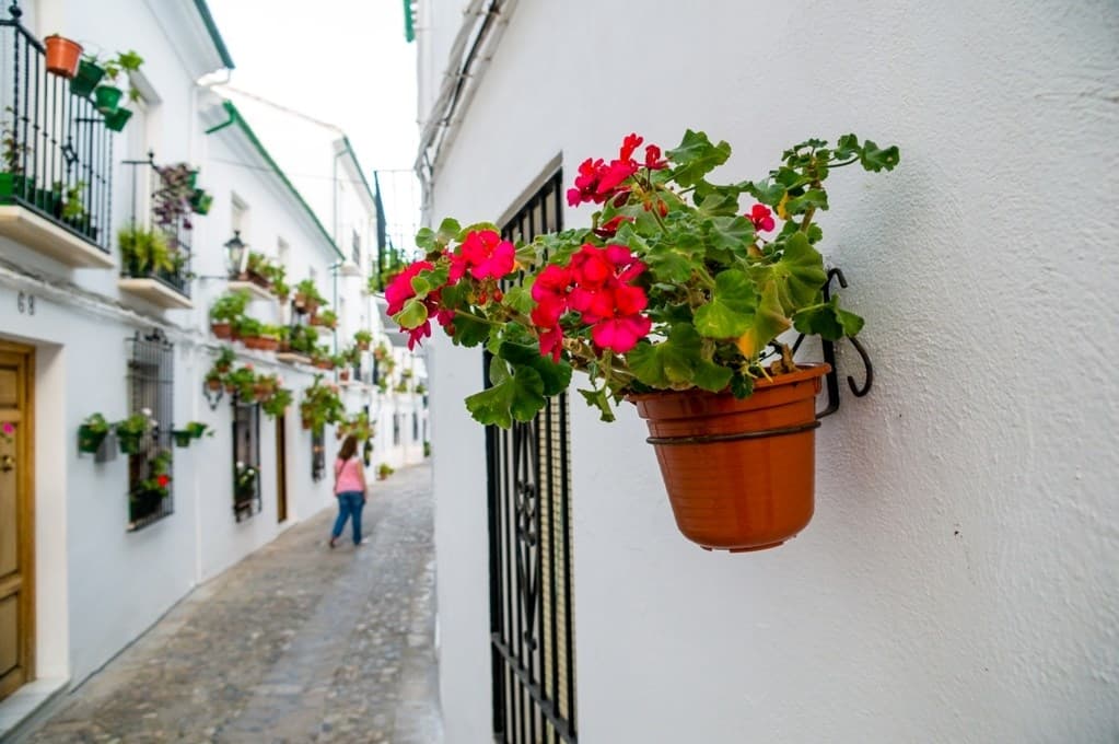 Cordoba, poznávací zájazd, Španielsko