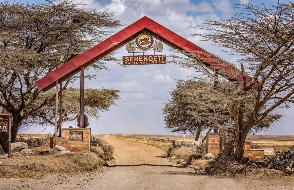 Zanzibar All Inclusive a safari v NP Serengeti a Ngorongoro