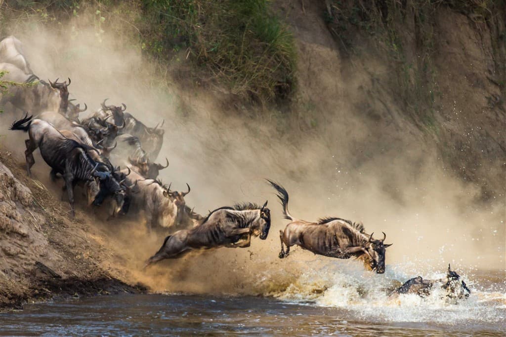 Zanzibar All Inclusive a safari v NP Serengeti a Ngorongoro