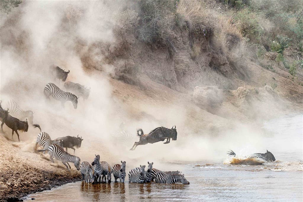 Zanzibar All Inclusive a safari v NP Serengeti a Ngorongoro