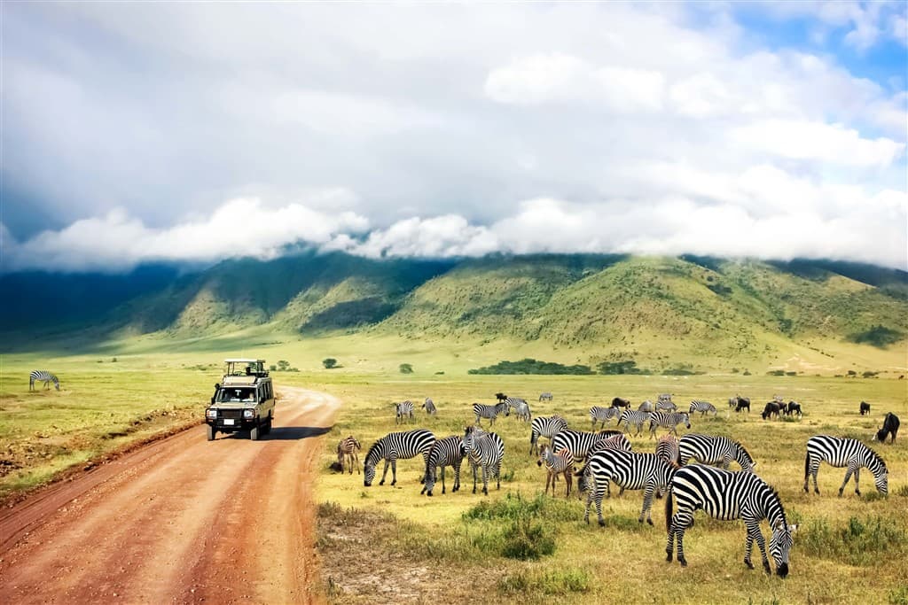 Zanzibar All Inclusive a safari v NP Serengeti a Ngorongoro