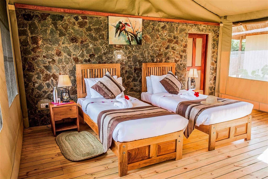 Zanzibar All Inclusive a safari v NP Serengeti a Ngorongoro
