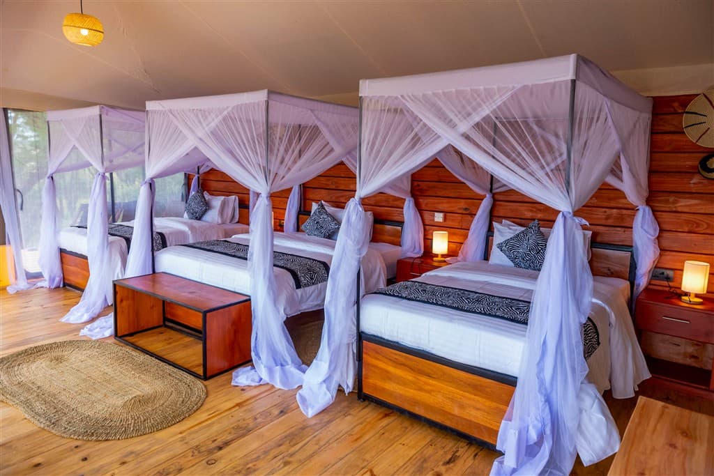 Zanzibar All Inclusive a safari v NP Serengeti a Ngorongoro