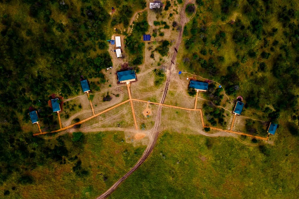 Zanzibar All Inclusive a safari v NP Serengeti a Ngorongoro