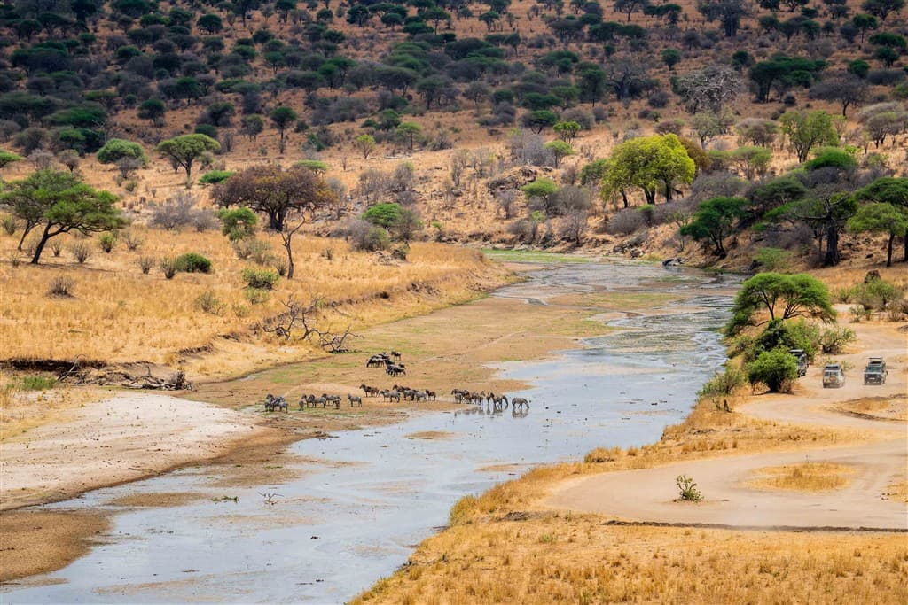 Zanzibar All Inclusive a safari v NP Serengeti a Ngorongoro