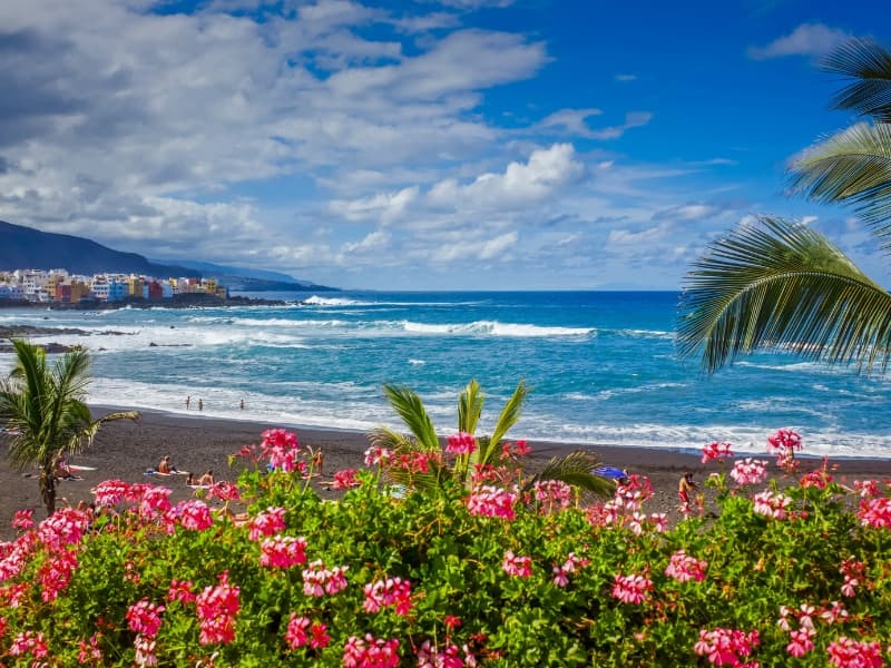Kvety, palmy, piesková pláž a oceán na Tenerife.