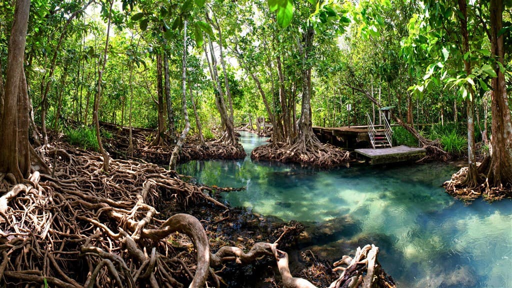 Thajsko - zážitkový Bangkok a malebné Krabi