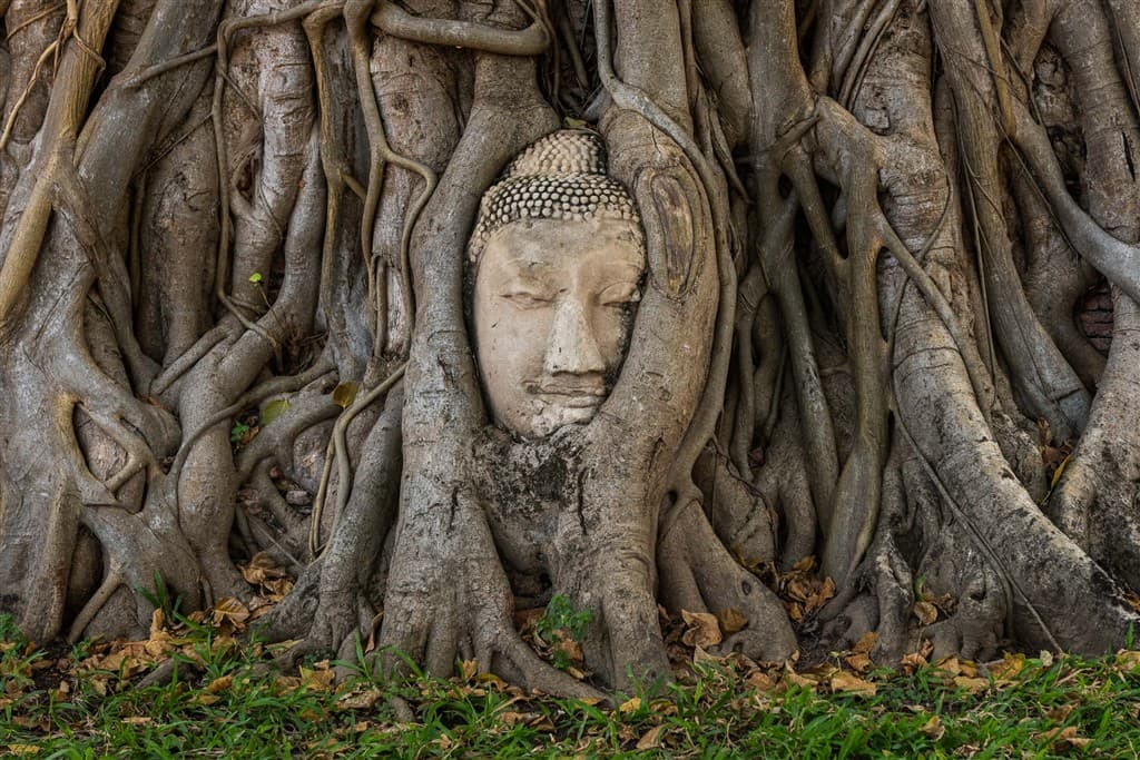 Thajsko - zážitkový Bangkok a malebné Krabi