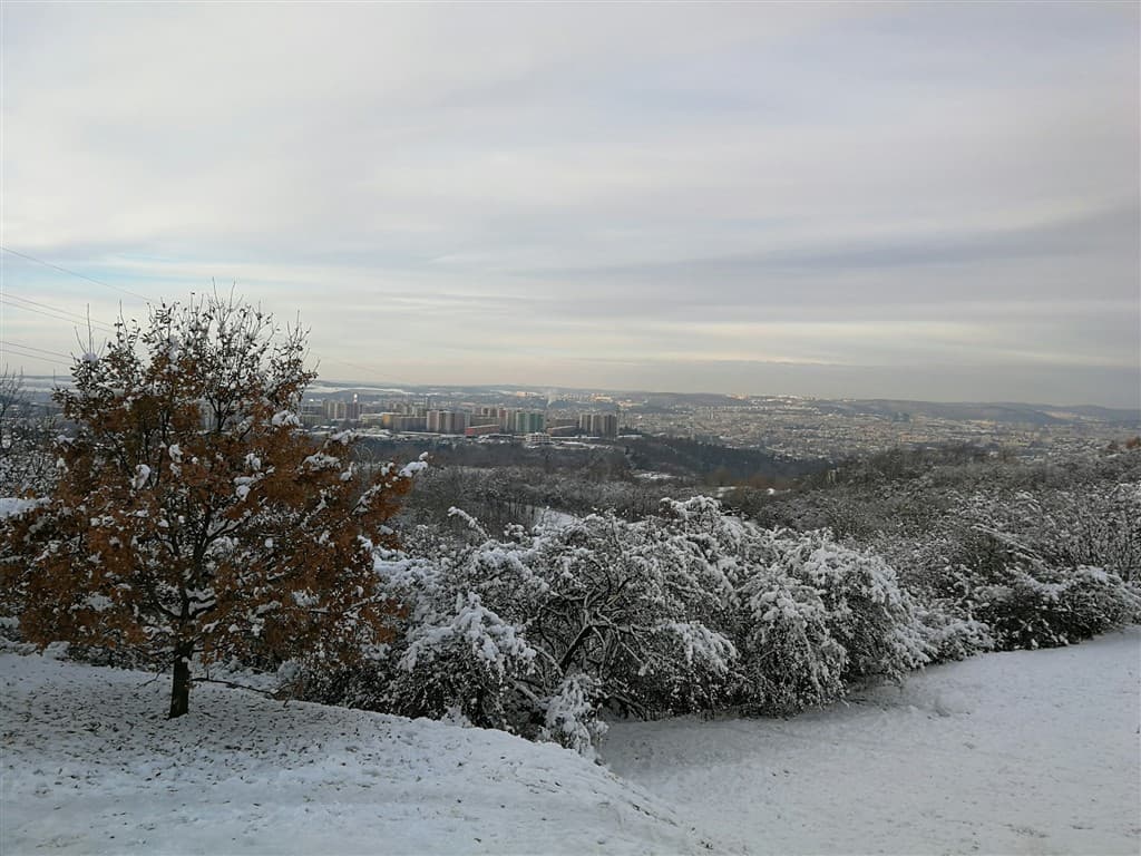 Zasnežené stromy a pohľad na Brno.