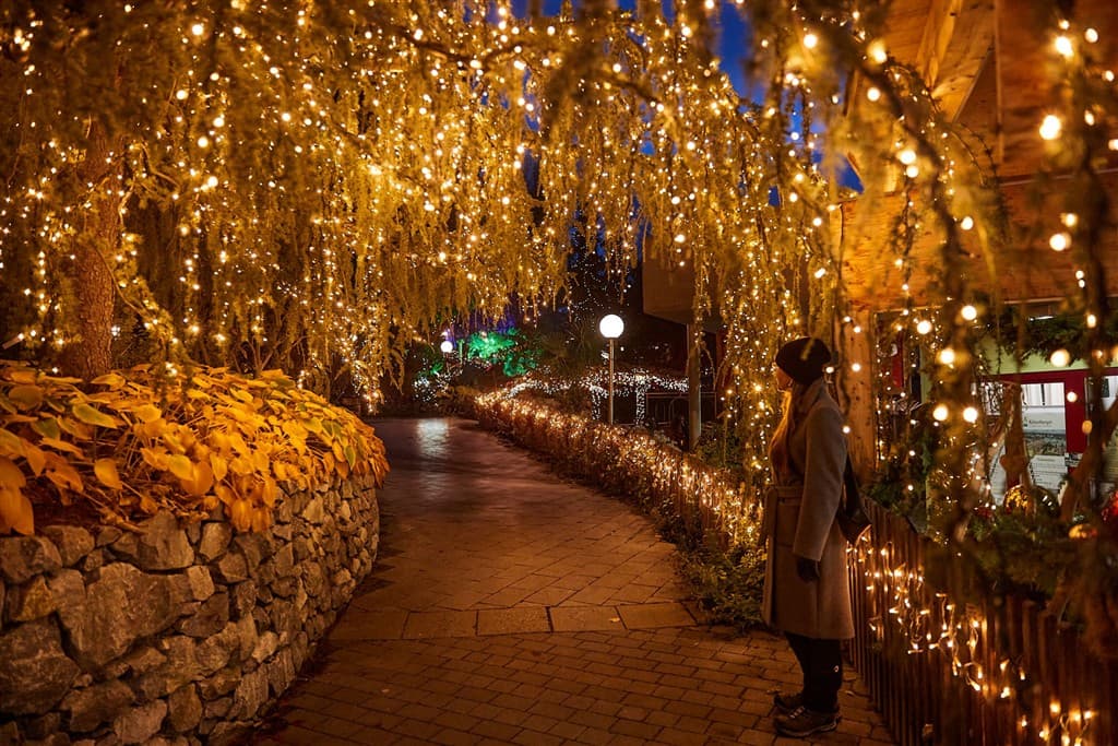 Magický advent s chuťou čokolády