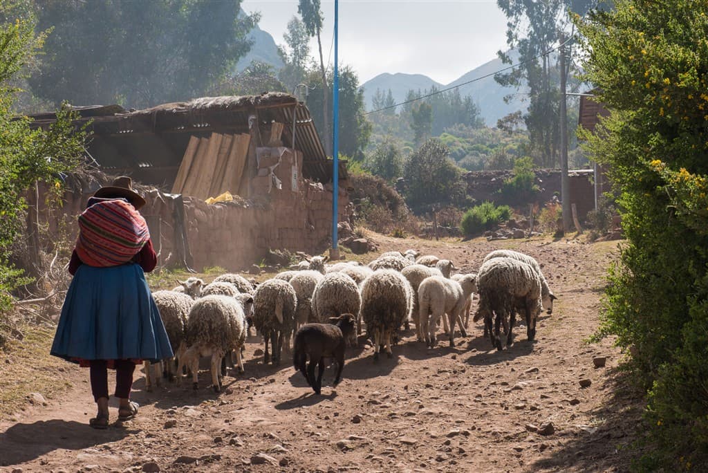 peru