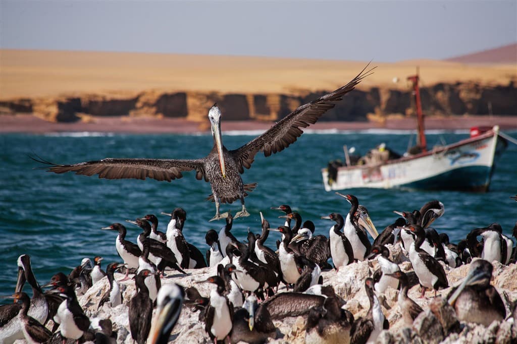 peru