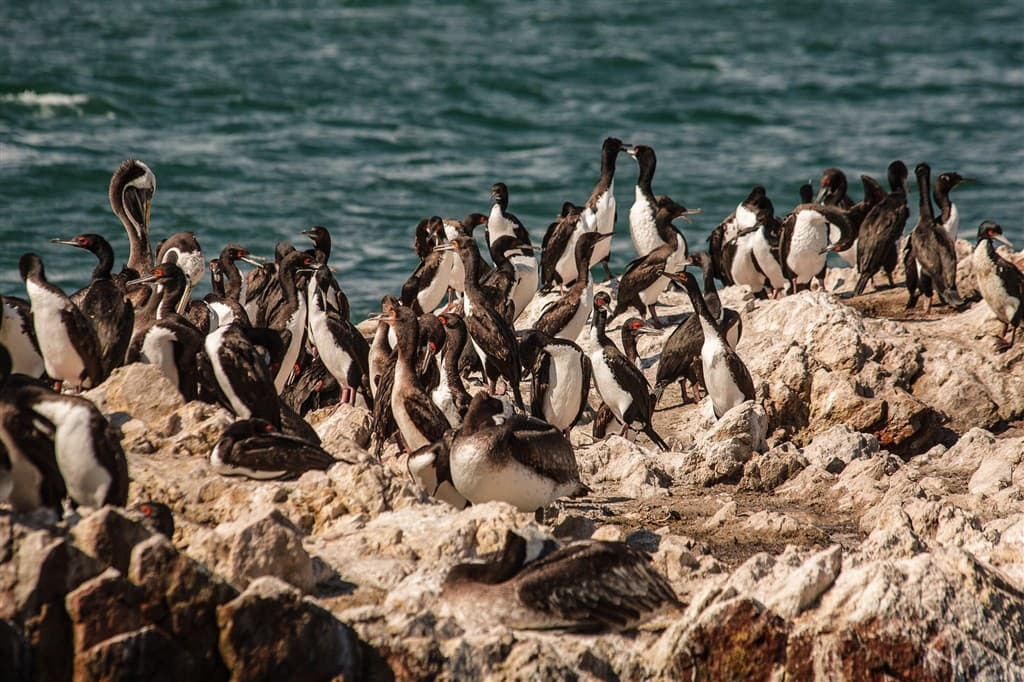 peru