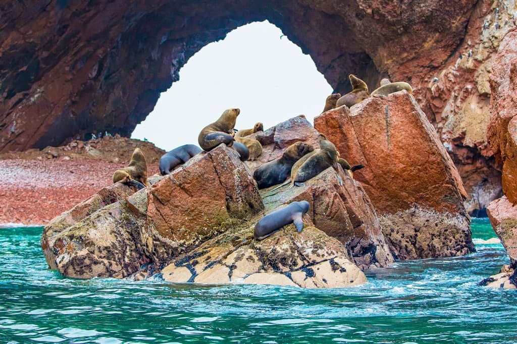 peru