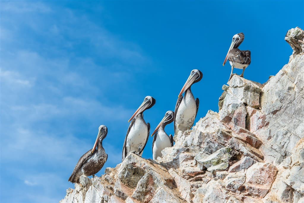 peru