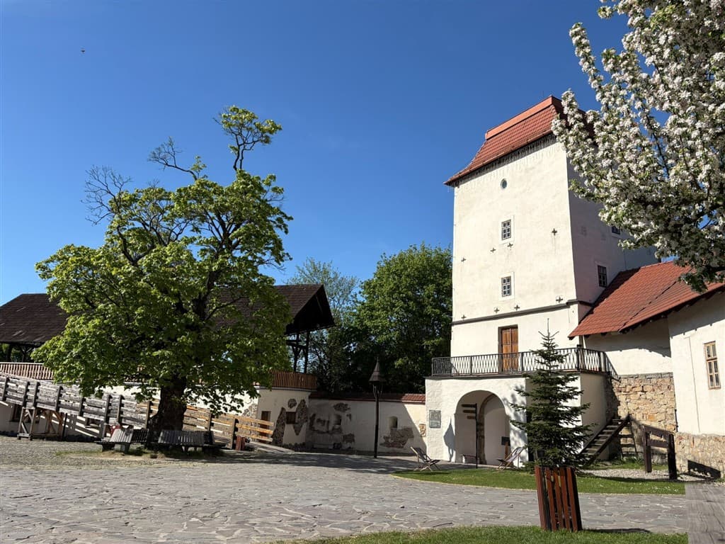 Slezkoostravský hrad, Ostrava