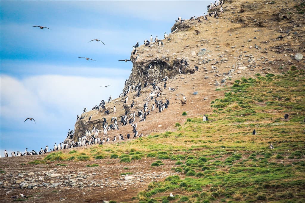 patagonia