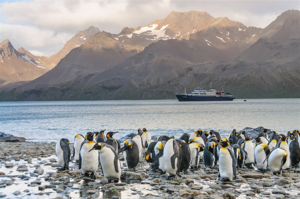 patagonia