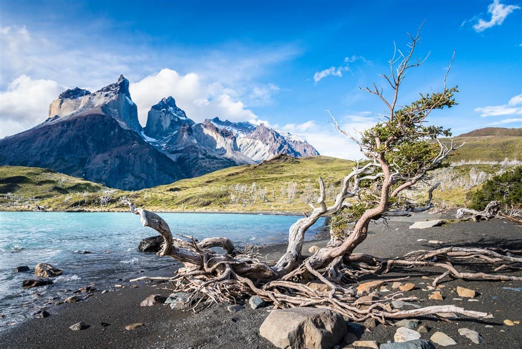 patagonia