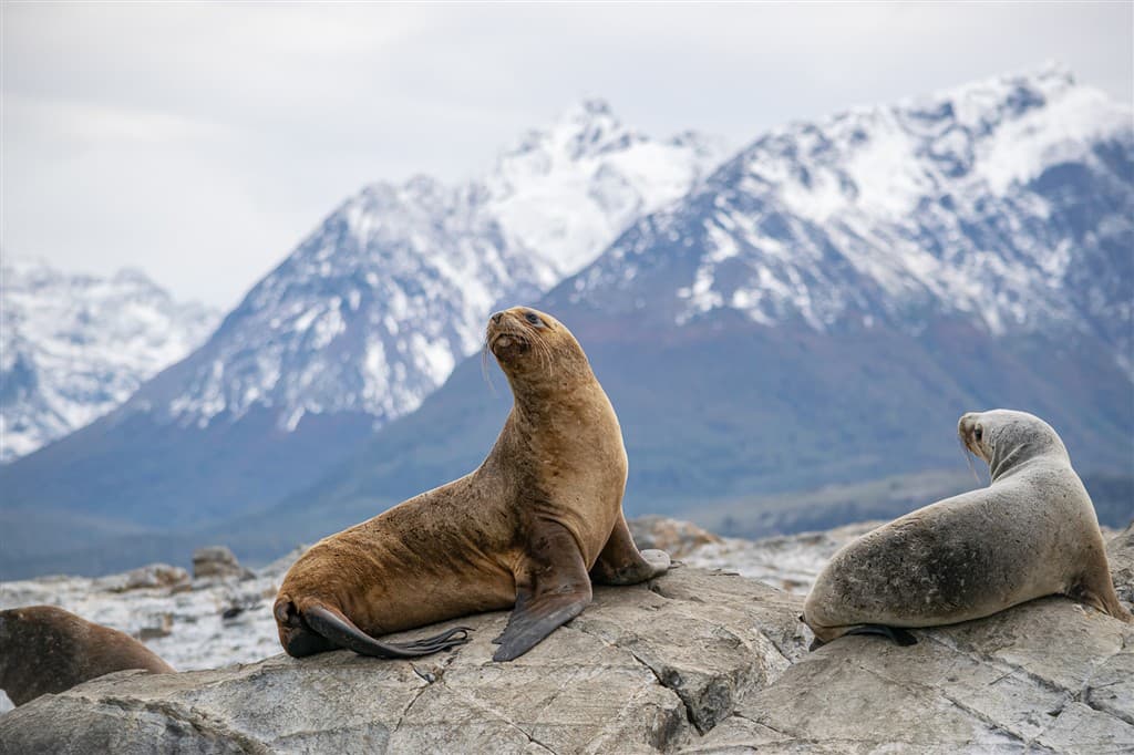 patagonia