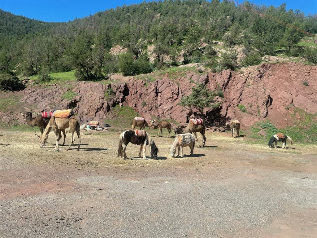 Ourika pri Marrákeši.