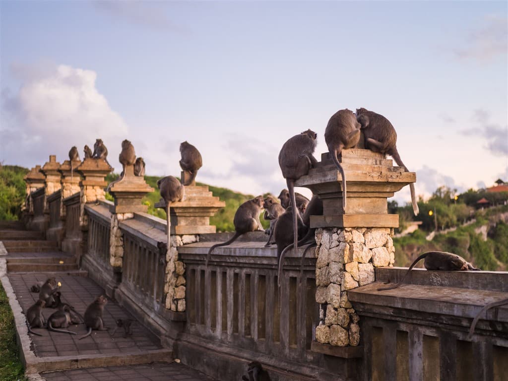 Bali