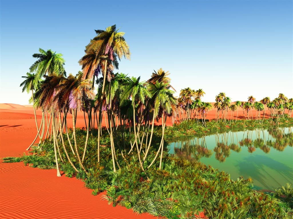 Africká oáza, Maroko