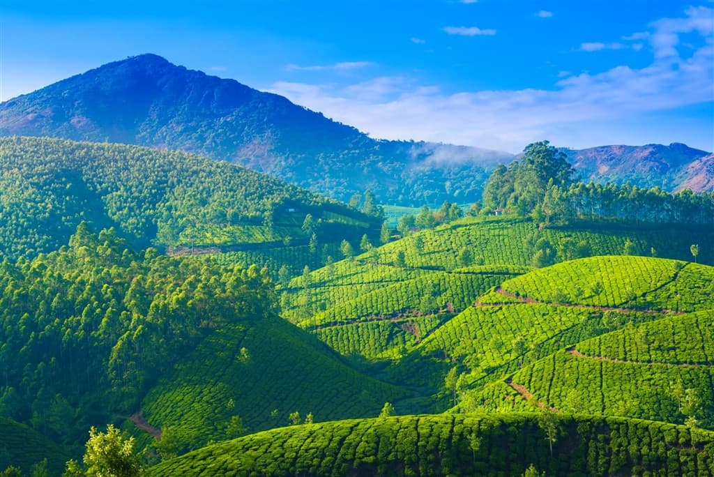 Kerala - zelené srdce Indie