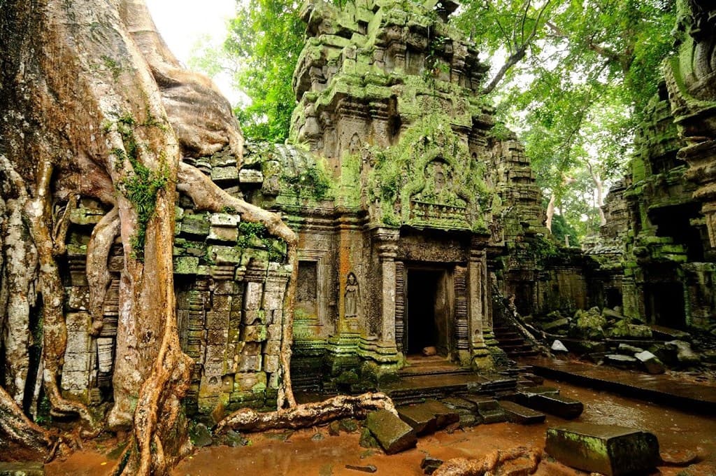 Chrám  Ta Prohm