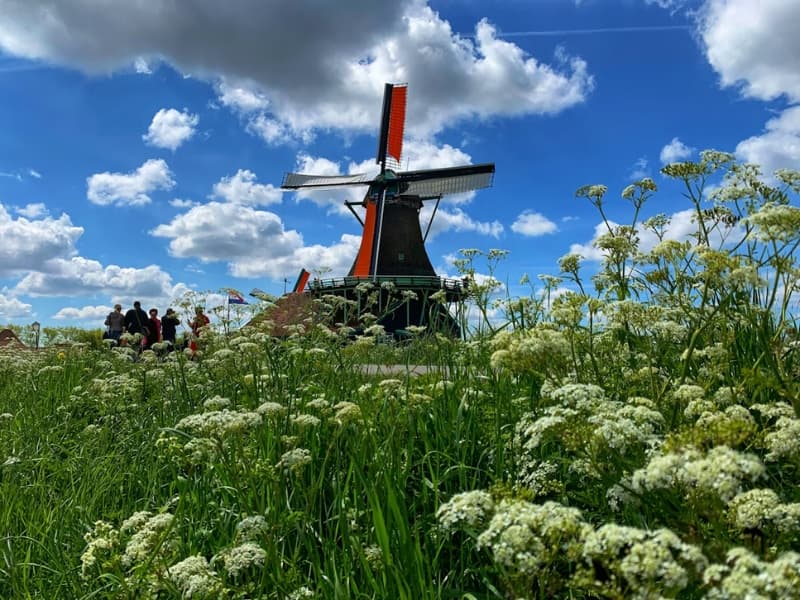 Mlyny v Zaanse Schans v Holandsku.